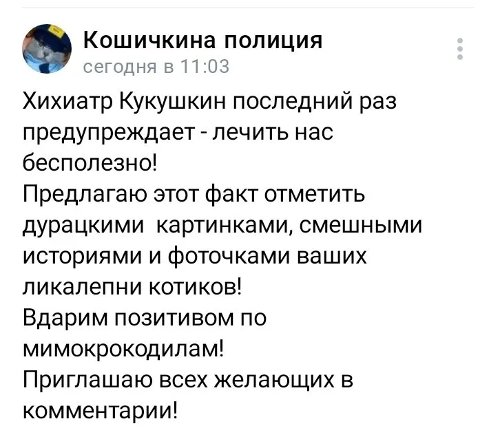 Кошичкина полиция