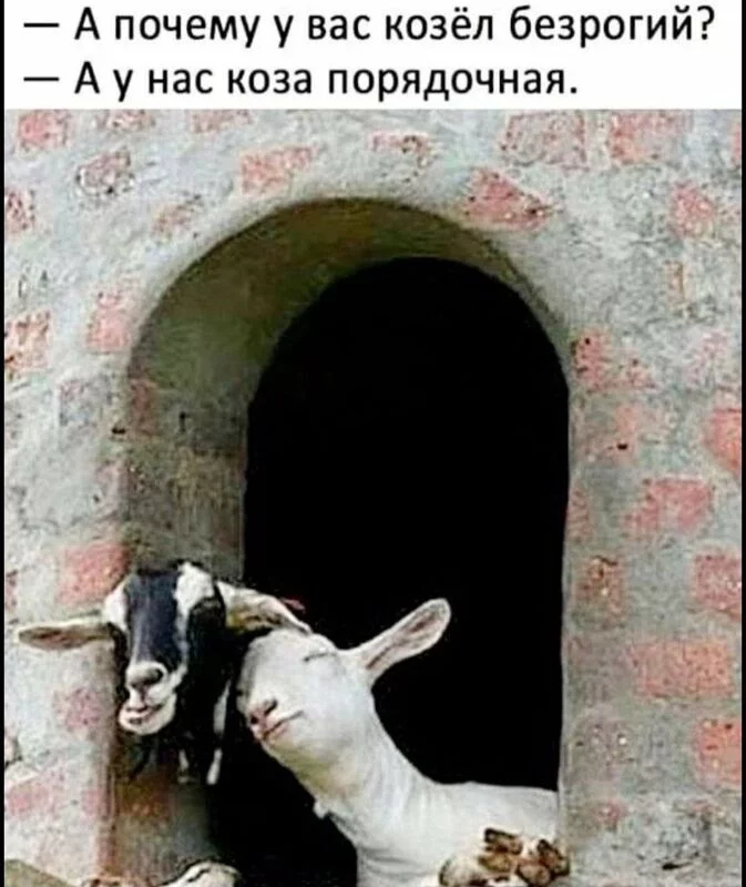Посмеялся сам - поделись с другом!!!