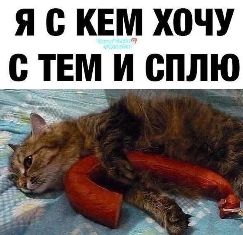 Посмеялся сам - поделись с другом!!!