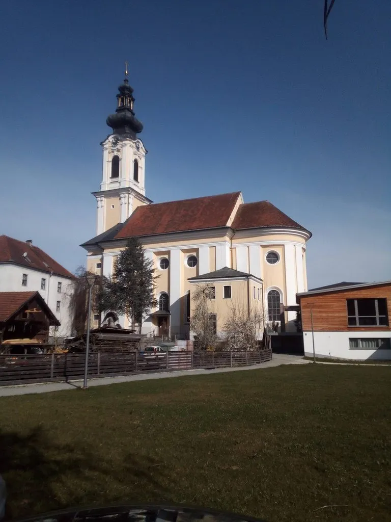 Tapтaлeтки & Ко