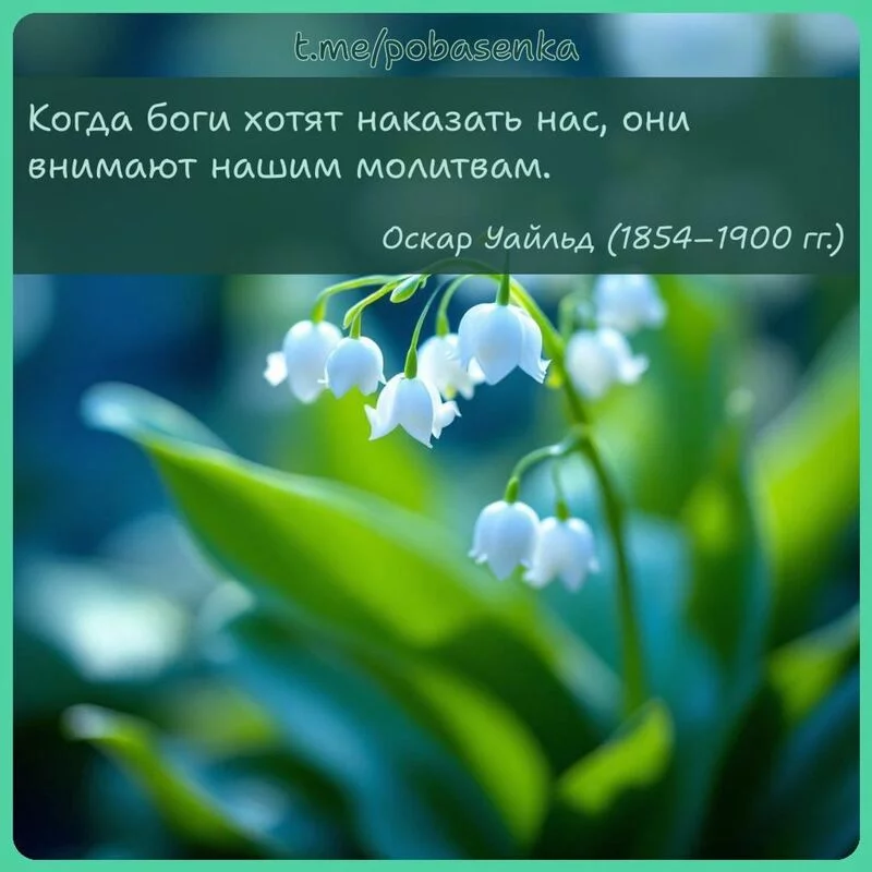 «Когда боги хотят наказать нас, они внимают нашим...» height="550" width="550"