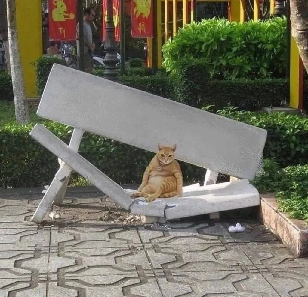 Кошичкина полиция