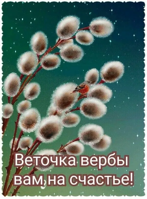 Кафе «У пани Сони»