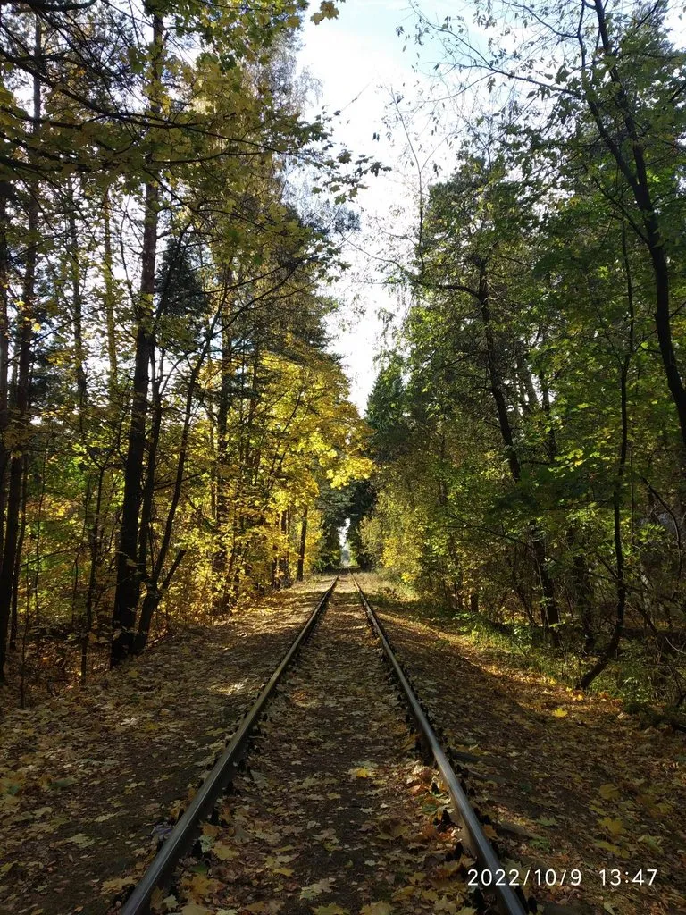 Чайная беседка