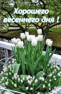 Tapтaлeтки & Ко