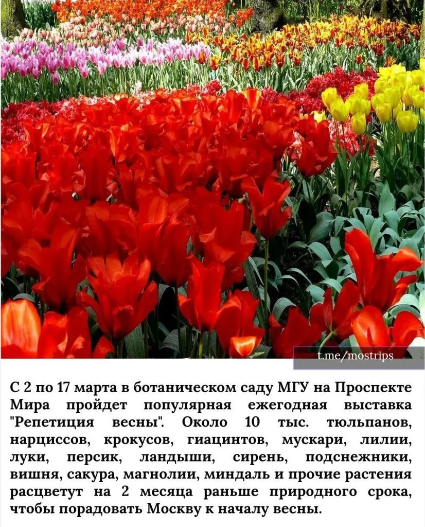 Москва: дресс-код и интересные места