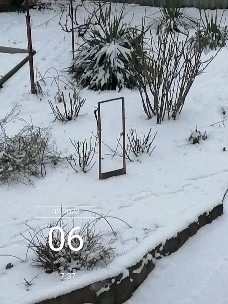 Чайная беседка