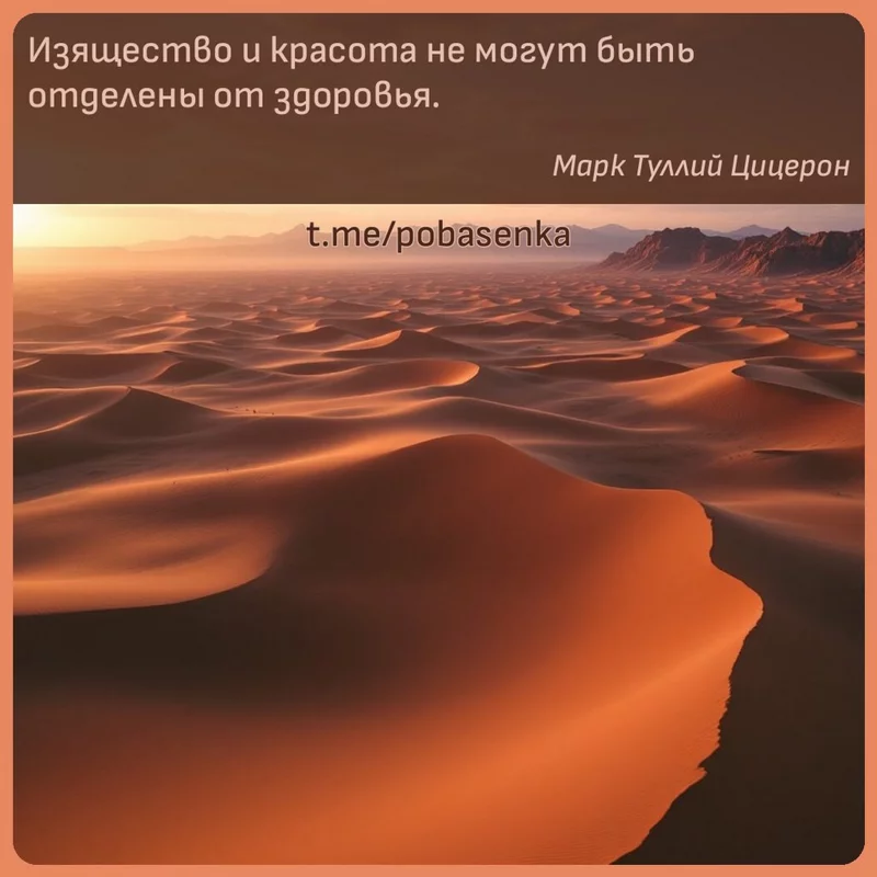 «Изящество и красота не могут быть отделены от...» height="550" width="550"