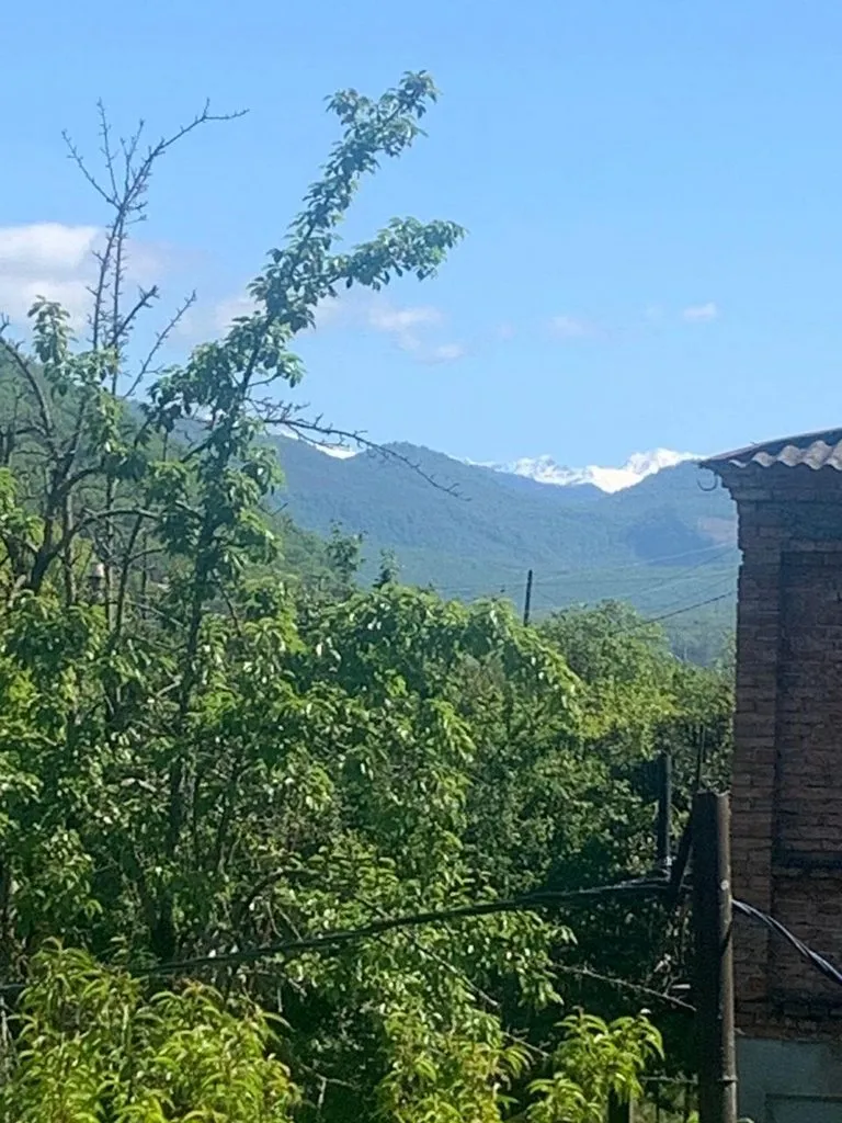 Чайная беседка