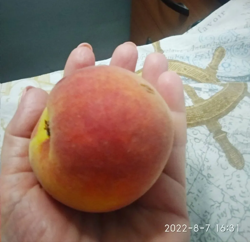 Кафе «У пани Сони»