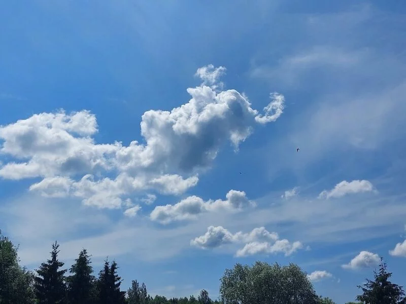 Такое разное небо