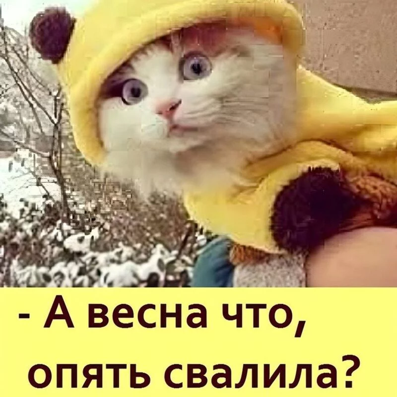 Посмеялся сам - поделись с другом!!!
