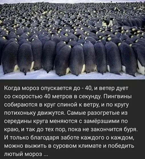 Это интересно!