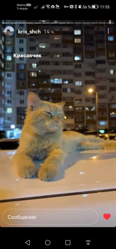 Чайная беседка