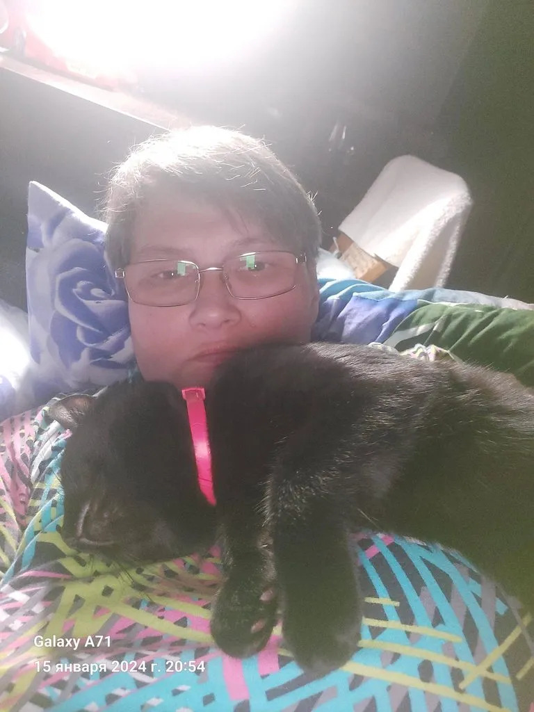 Чайная беседка