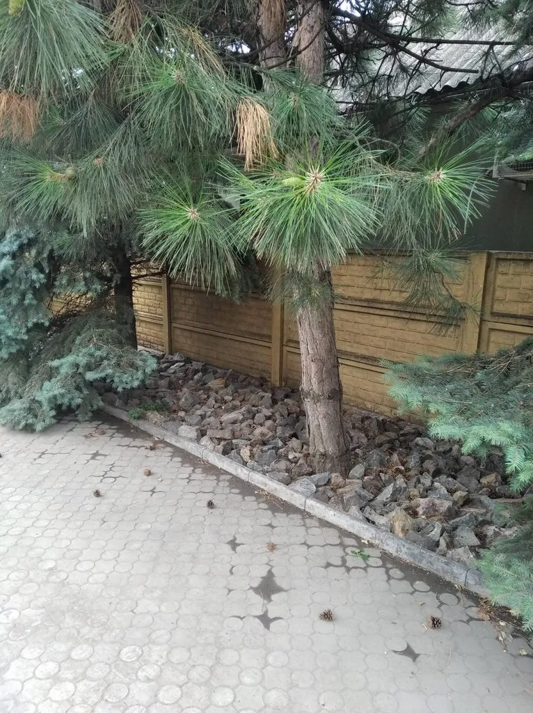 Чайная беседка