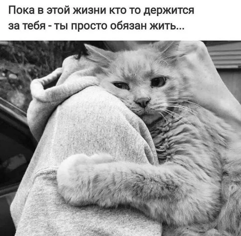 Позитивчик (фото, видео, рассказы для хорошего настроения)