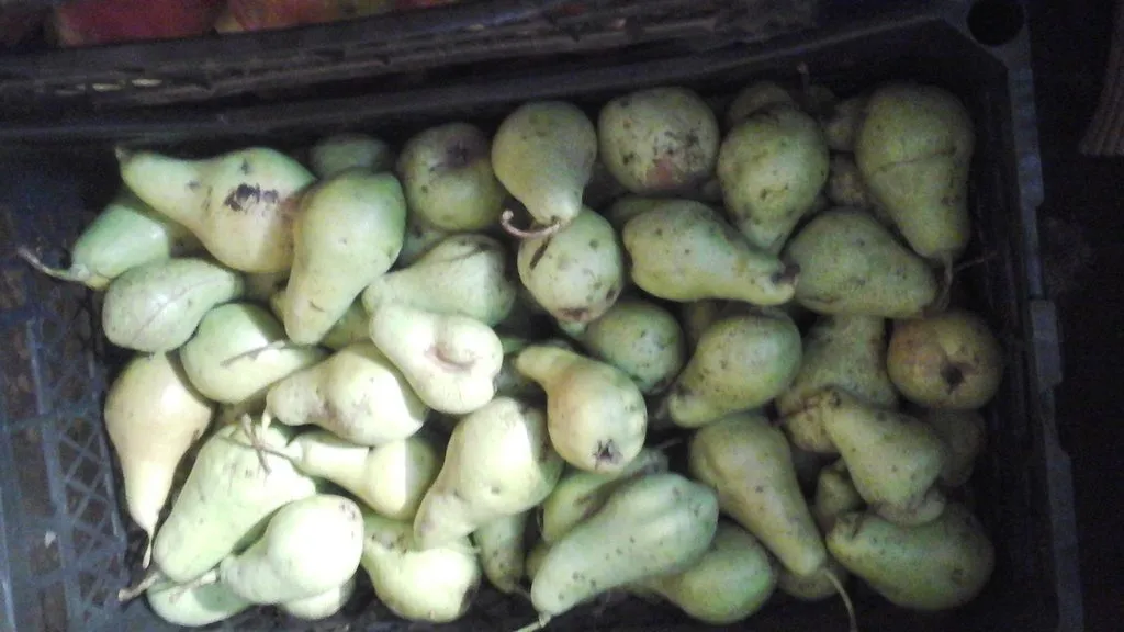 Чайная беседка