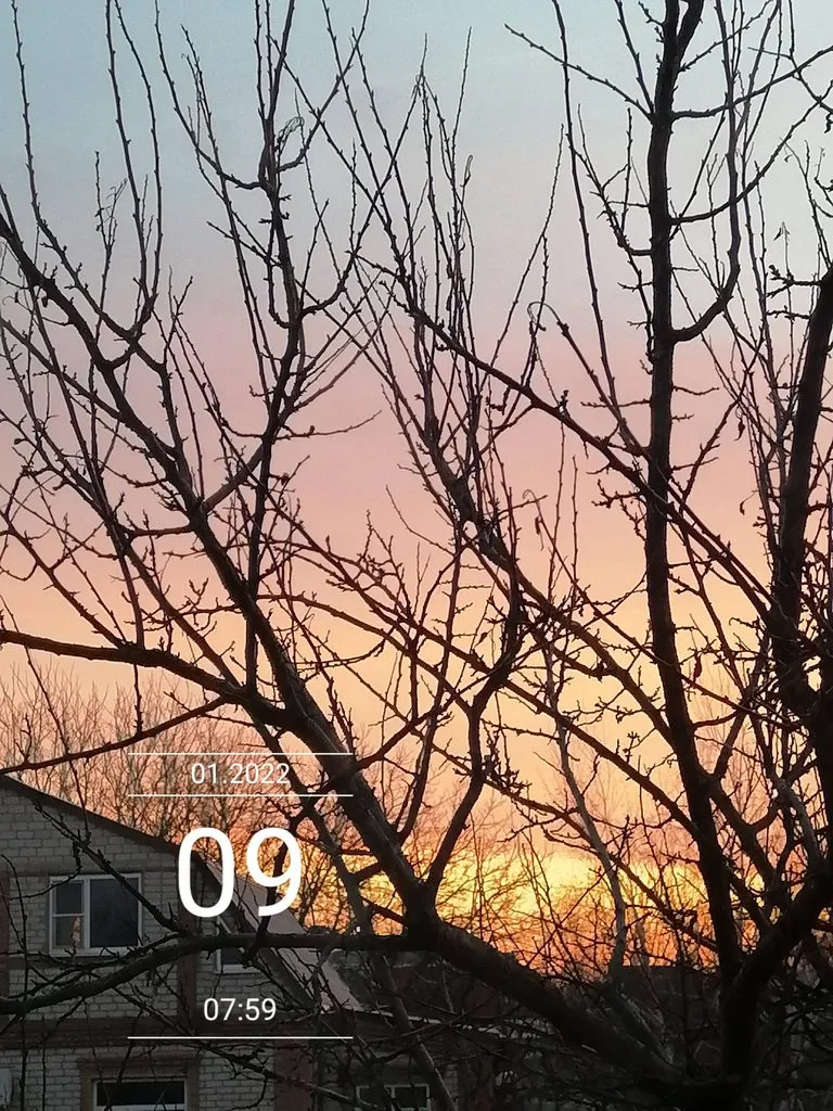 Чайная беседка