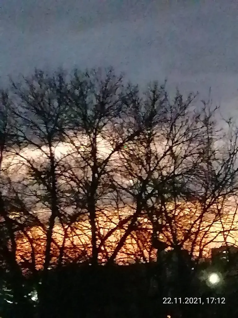 Такое разное небо