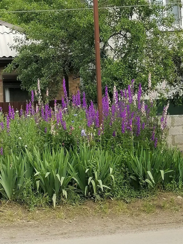 Чайная беседка