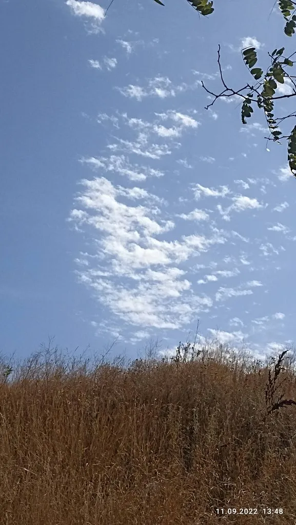 Такое разное небо