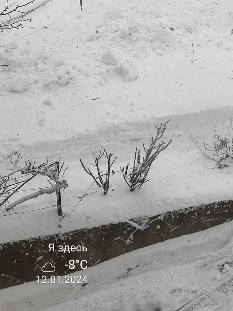 Чайная беседка