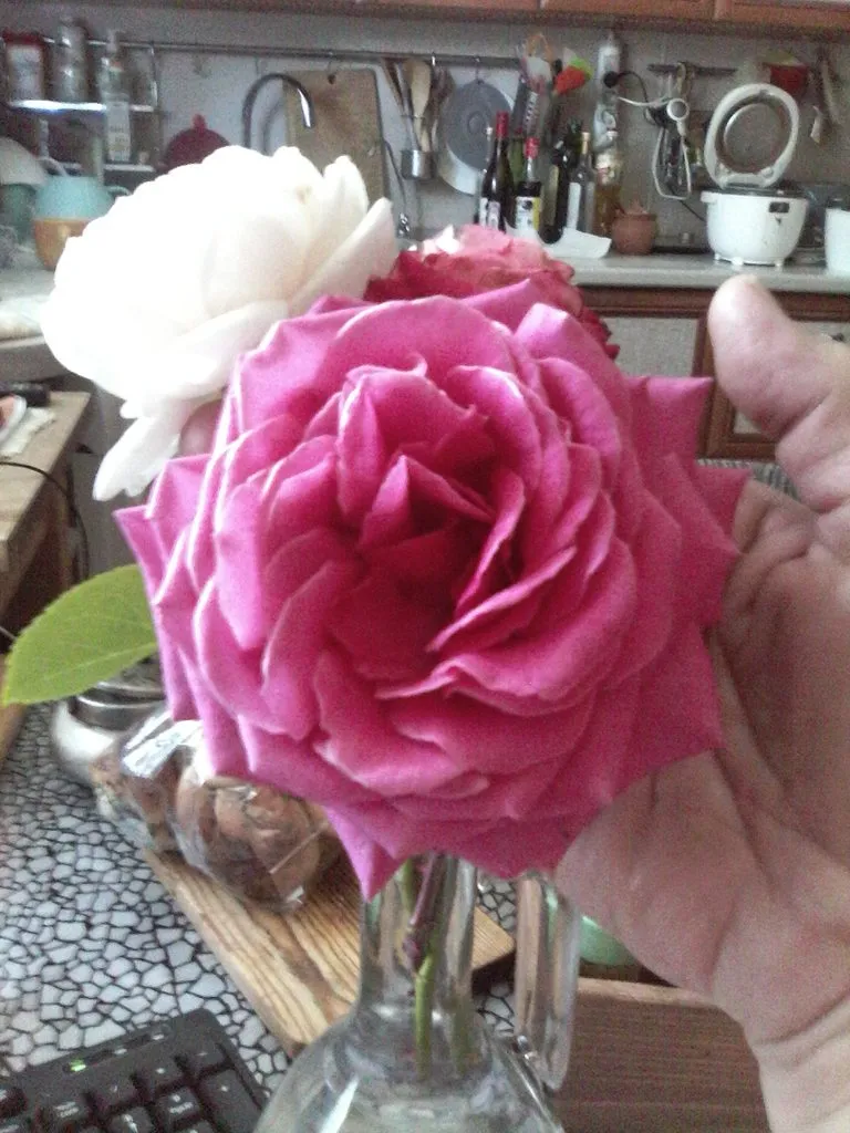 Чайная беседка