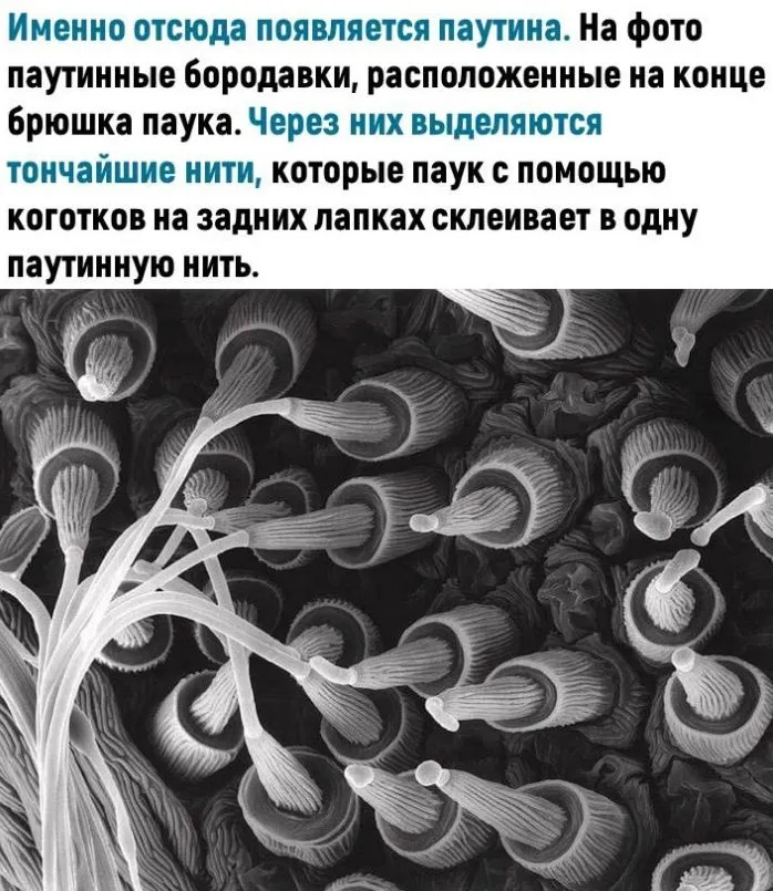Это интересно!