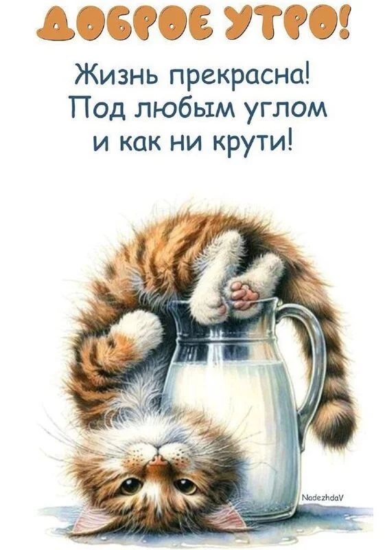 Кафе "У пани Сони"