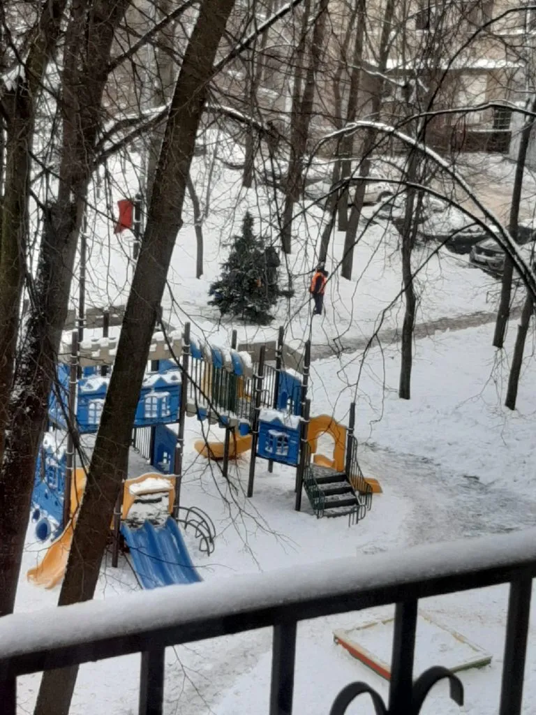 Tapтaлeтки & Ко