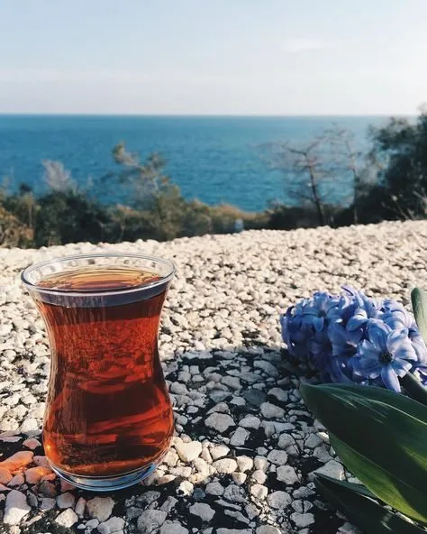 Чайная беседка