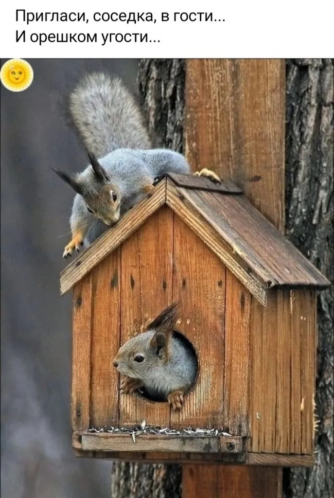 Посмеялся сам - поделись с другом!!!