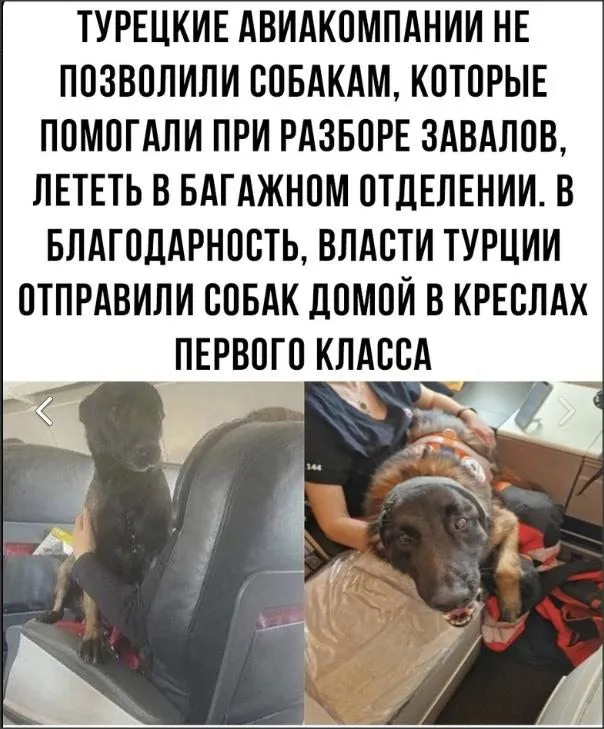 Позитивчик (фото, видео, рассказы для хорошего настроения)