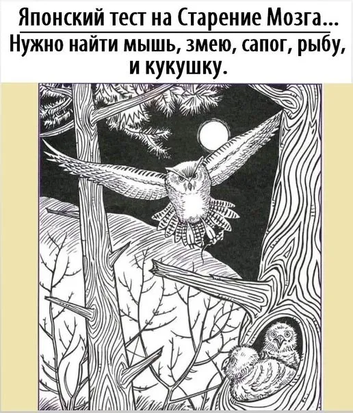 Кафе «У пани Сони»