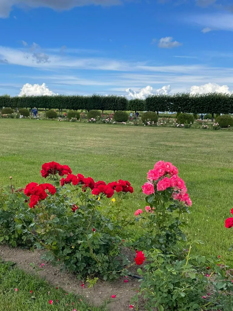 Такое разное небо