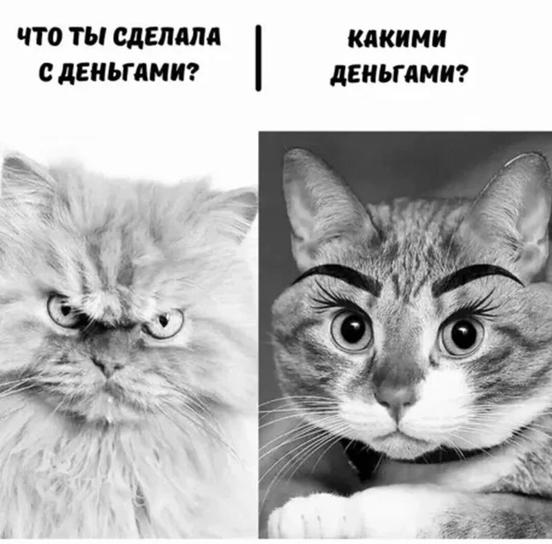 Посмеялся сам - поделись с другом!!!