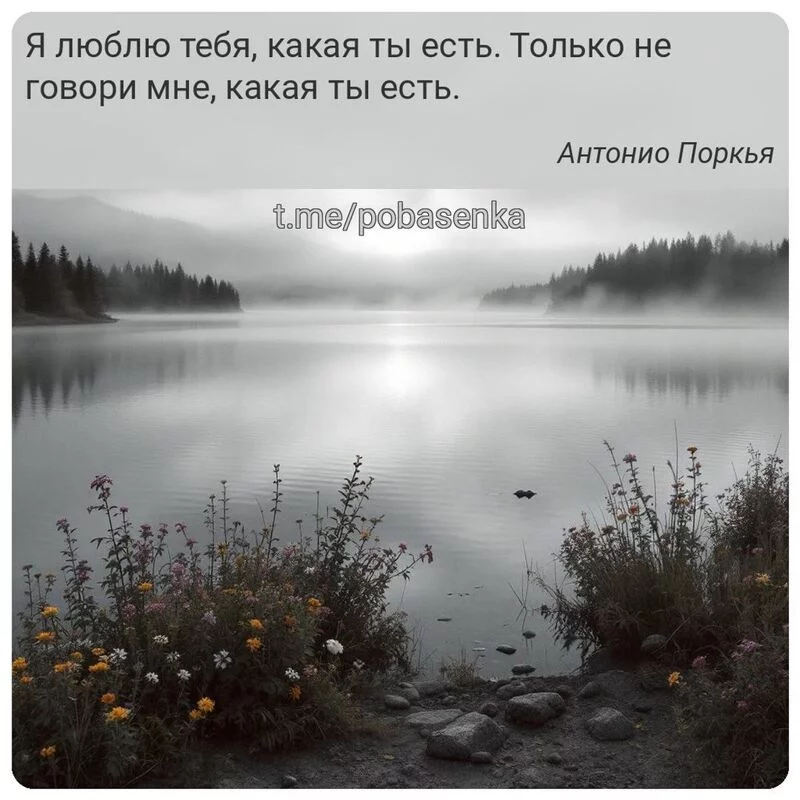 «Я люблю тебя, какая ты есть. Только не говори мне, какая ты...» height="550" width="550"