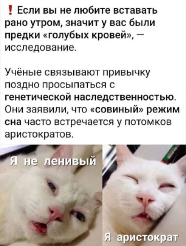 Посмеялся сам - поделись с другом!!!