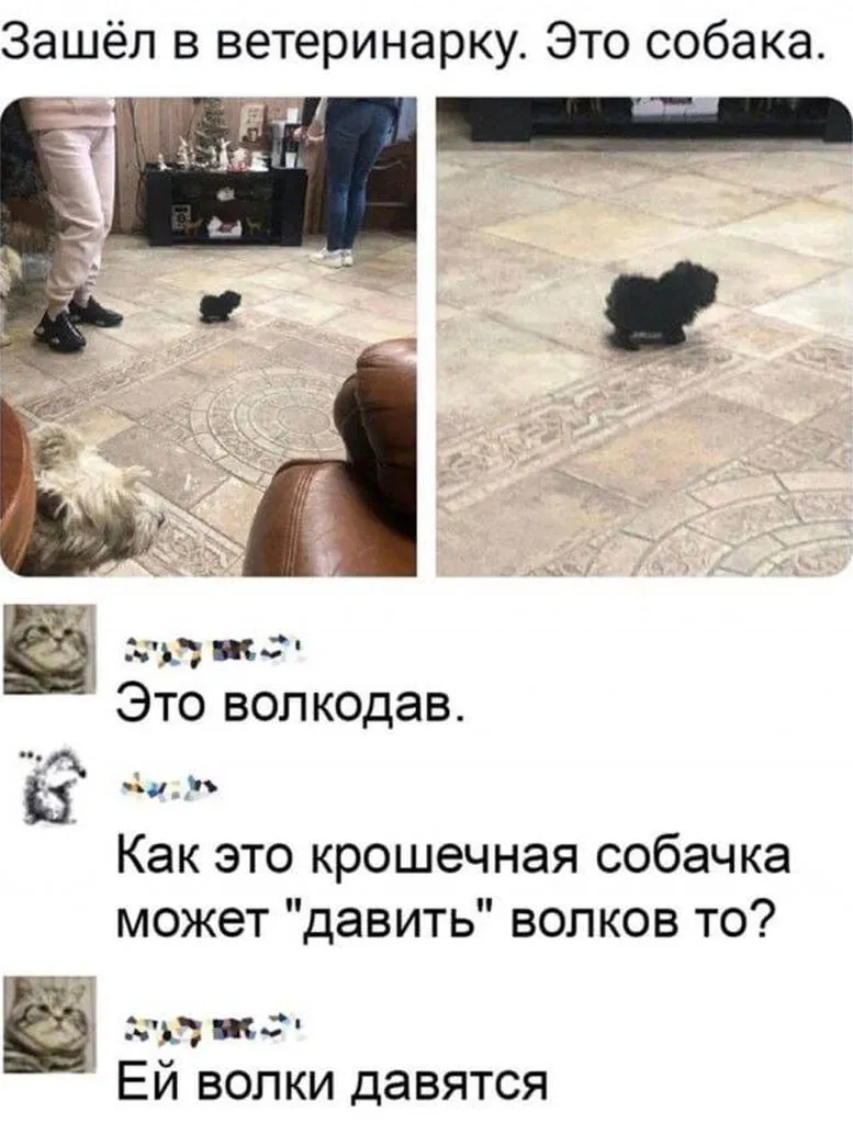 Посмеялся сам - поделись с другом!!!