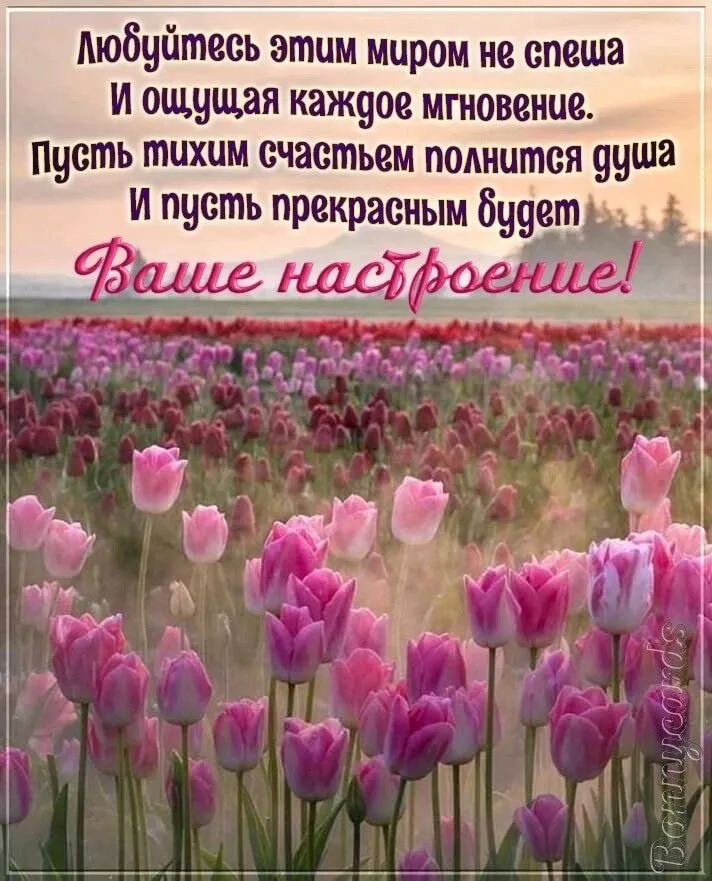 Кафе "У пани Сони"