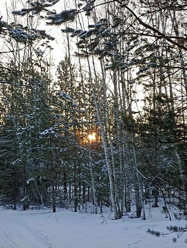 Фотонастроение