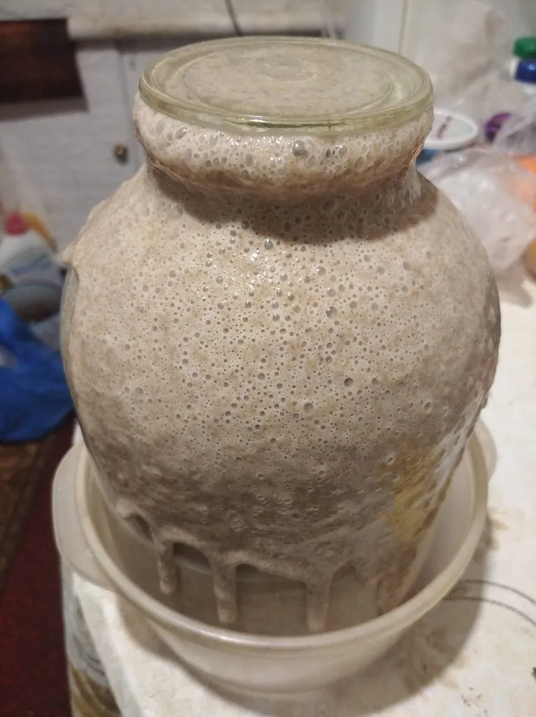 Самая простая хмелевая закваска