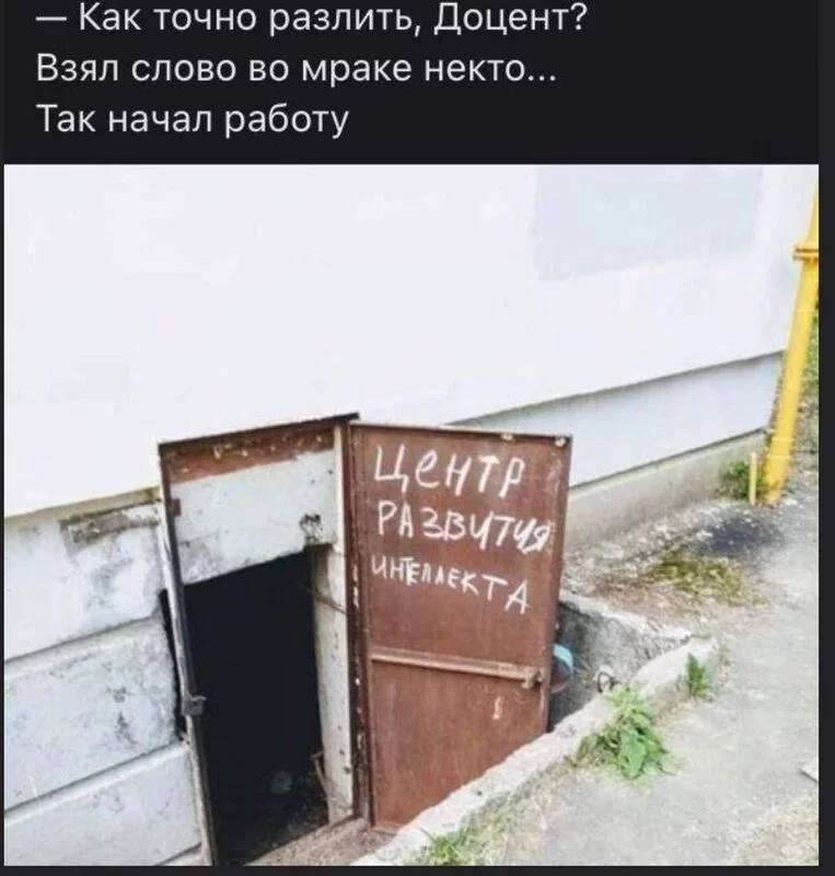 Всюду рифмы
