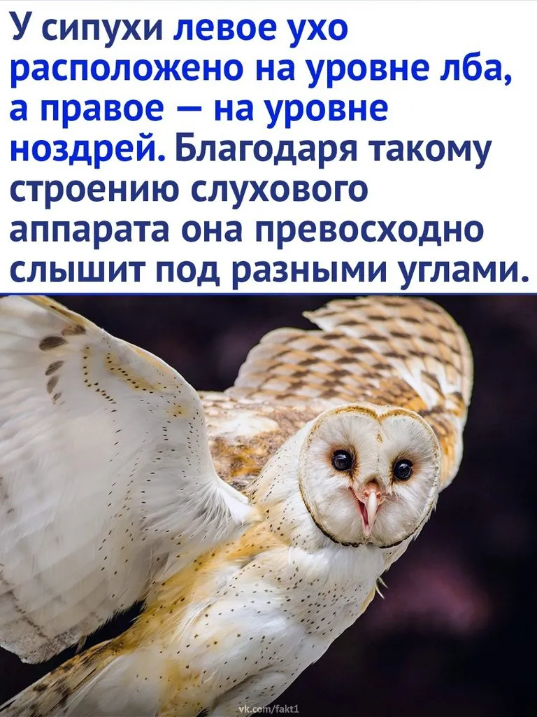 Это интересно!