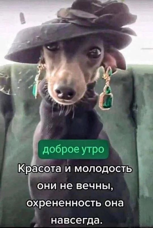 Кафе "У пани Сони"