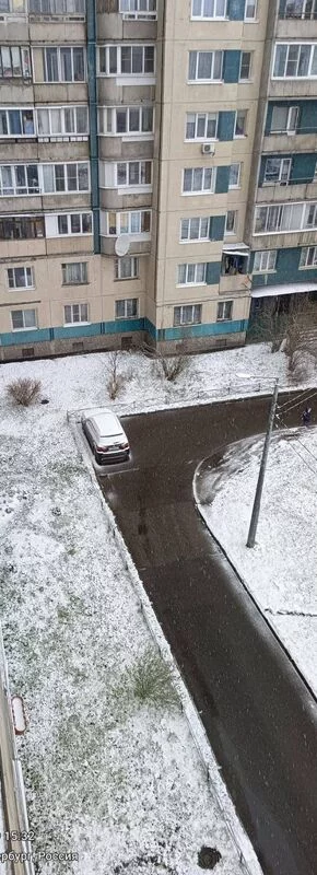 Tapтaлeтки & Ко
