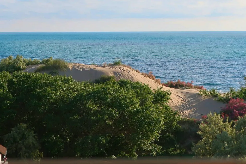 Чайная беседка