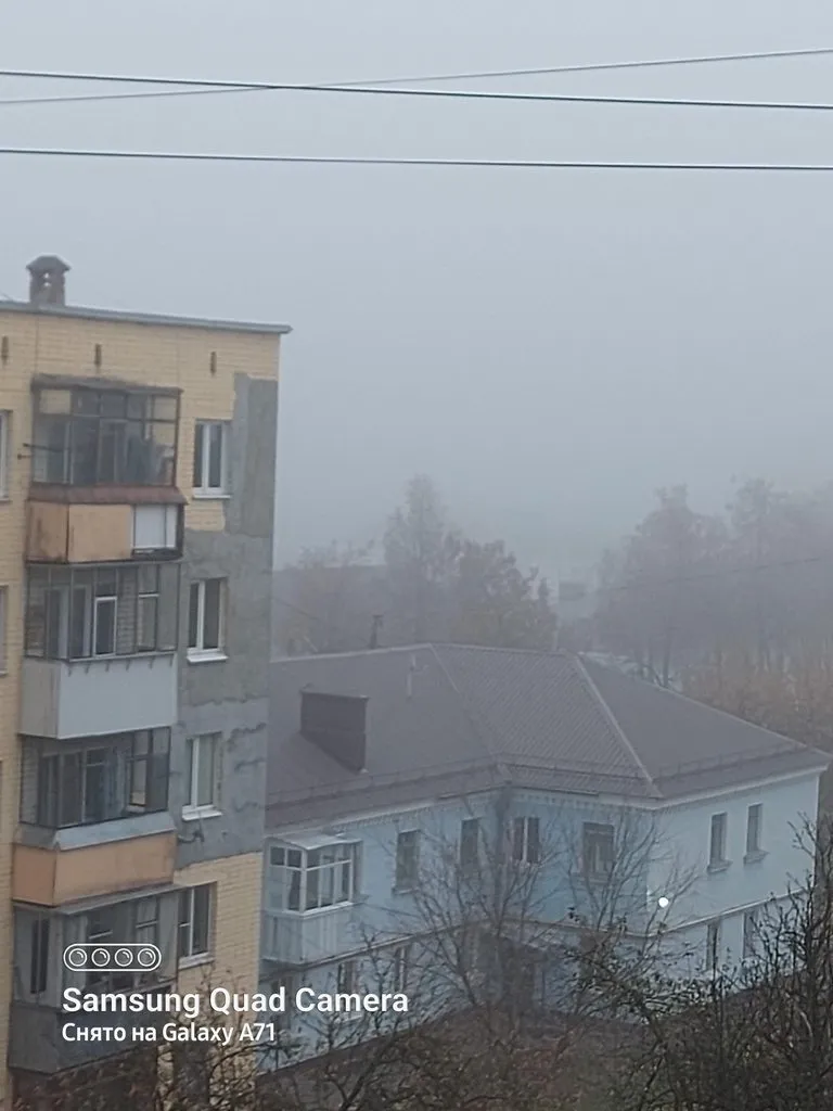 Tapтaлeтки & Ко