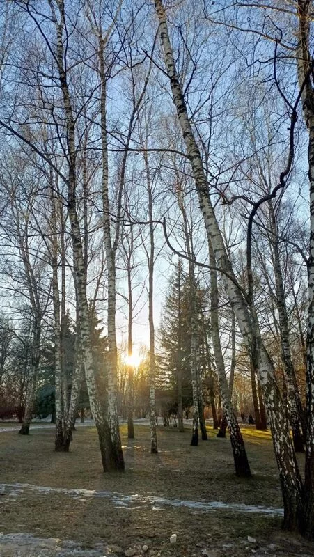 Фотонастроение